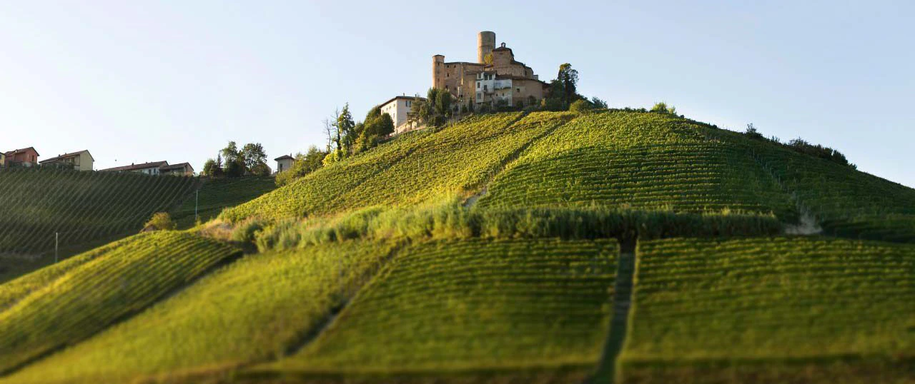 Vietti - viinitilan kuva