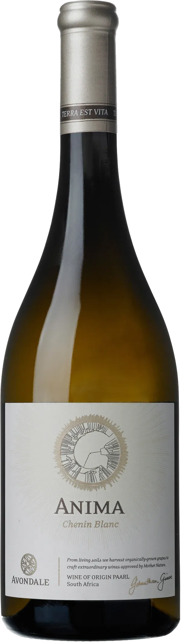 Avondale Anima Chenin Blanc 2017 - pullokuva