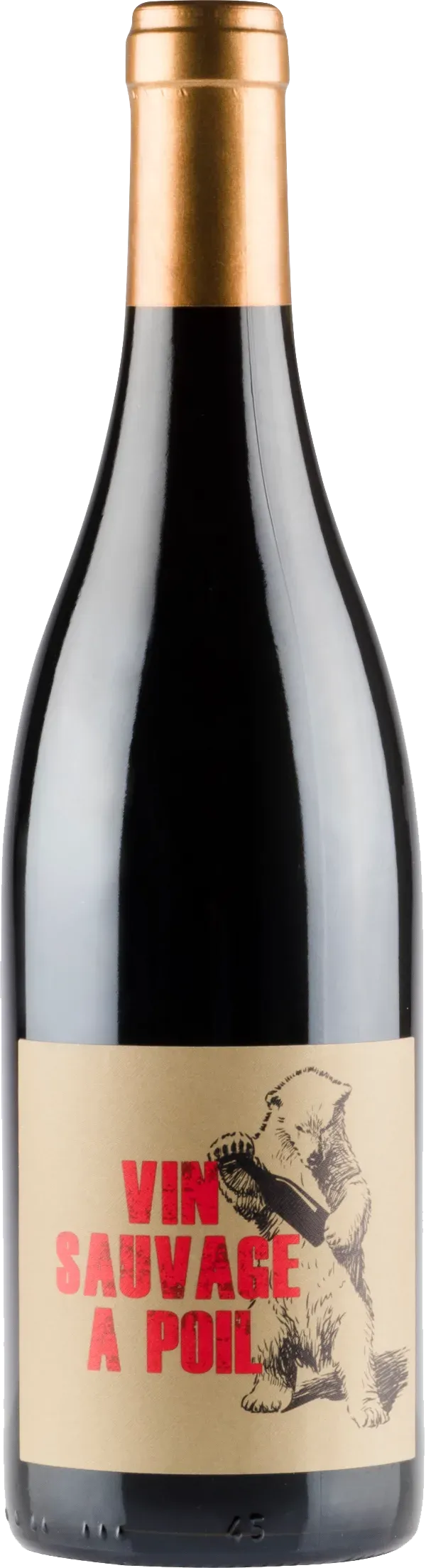 Vin Sauvage à Poil Régnié 2019 - pullokuva