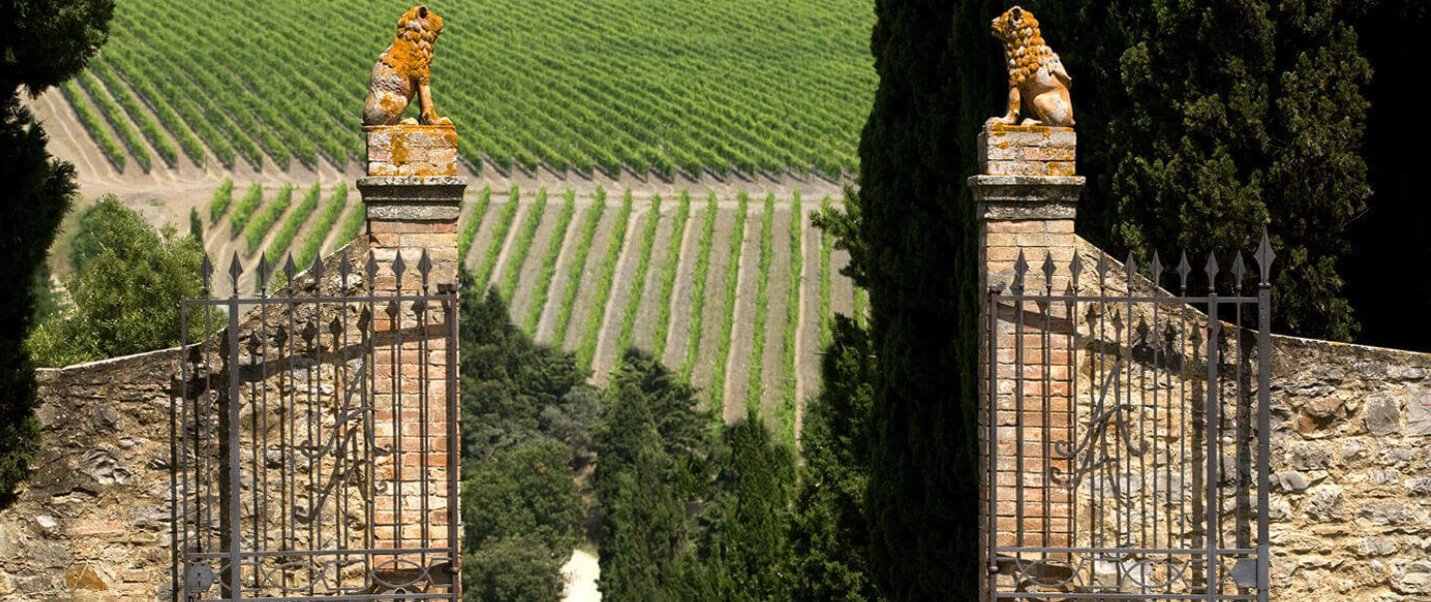 Frescobaldi - viinitilan kuva