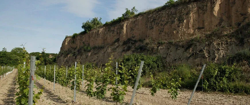 Weingut Philipp Kuhn - viinitilan kuva