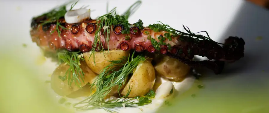 Kuva reseptistä Viikko 30/2022 - Kristian Vuojärvi | KV Restaurants: Carpaccio grillatusta härän marmorifileestä & limedressingiä, Grillattua mustekalaa, kesäperuna-tillisalaattia ja sipulivinaigretteä, Mansikkajäädykettä ja marinoituja mansikoita