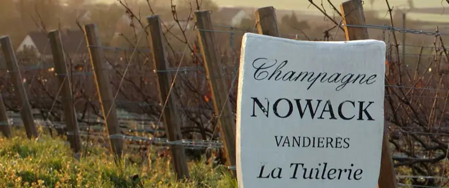 Domaine Nowack - viinitilan kuva