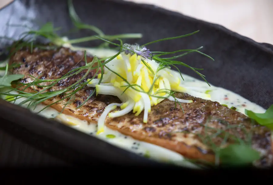 Kuva annoksesta Hibachigrillattua nieriää ja beurre blanc -kastiketta